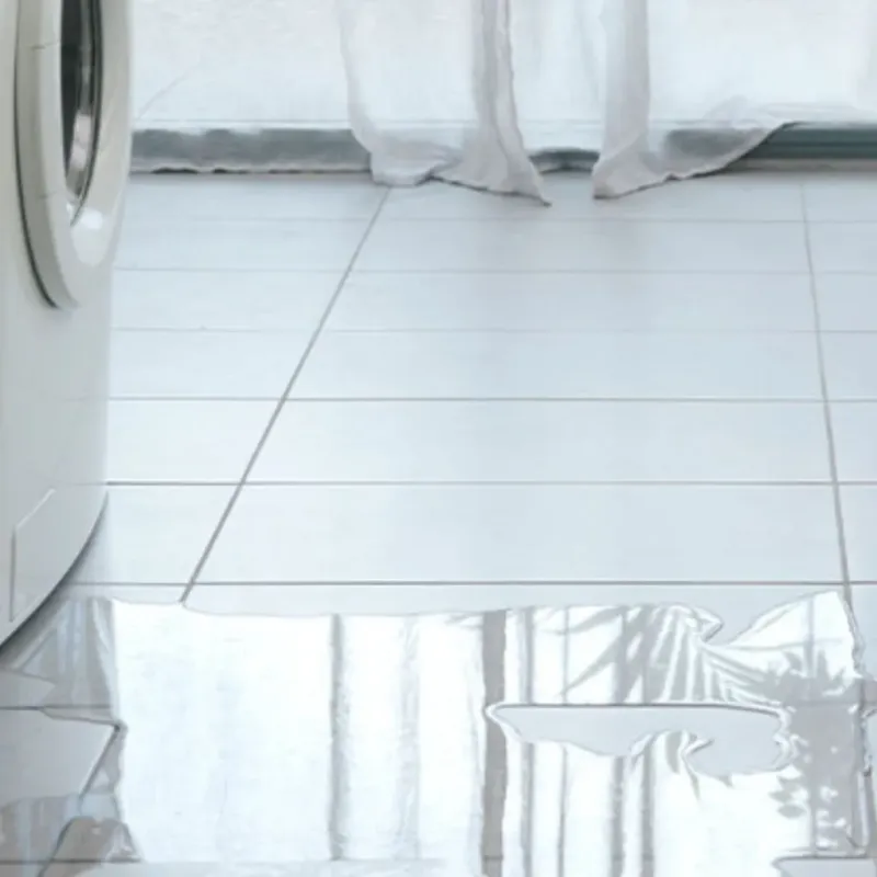 Appliance Leak Cleanup in Dyersville, IA