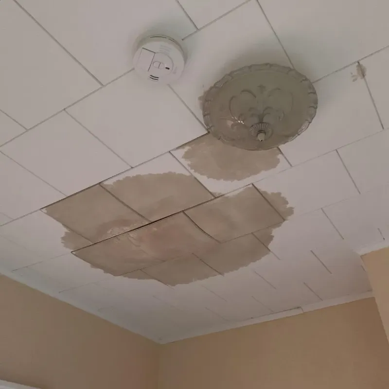 Ceiling Water Damage Repair in Dyersville, IA