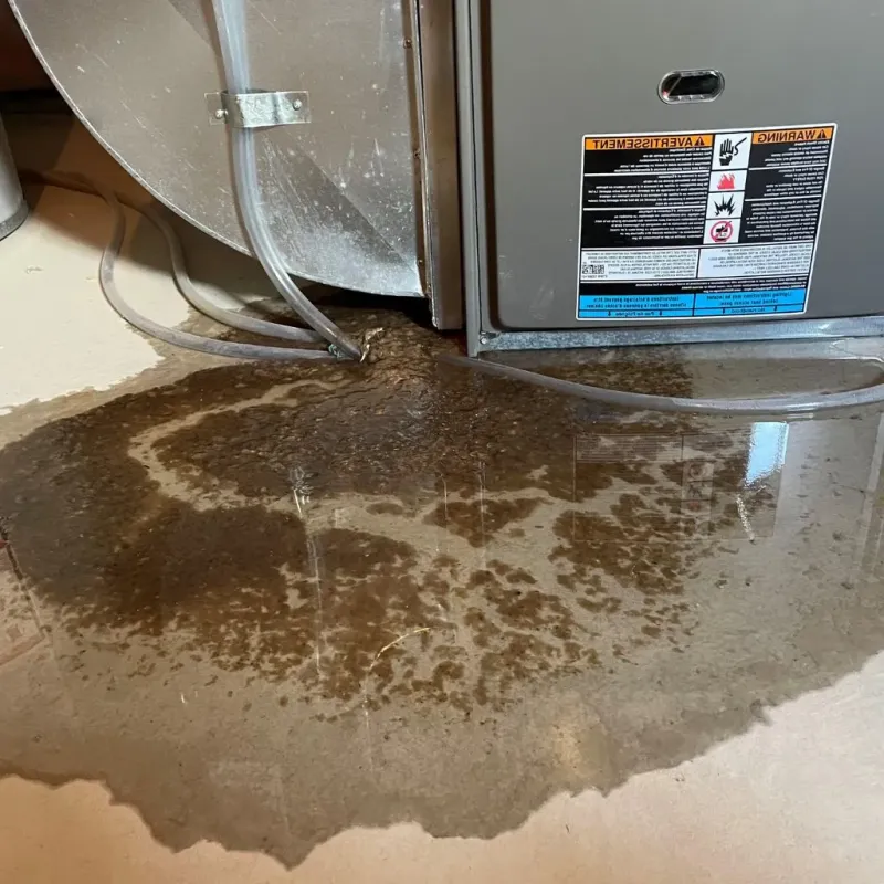 Pipe Burst and Leak Restoration in Dyersville, IA